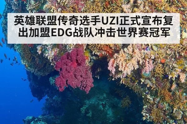 英雄联盟传奇选手UZI正式宣布复出加盟EDG战队冲击世界赛冠军
